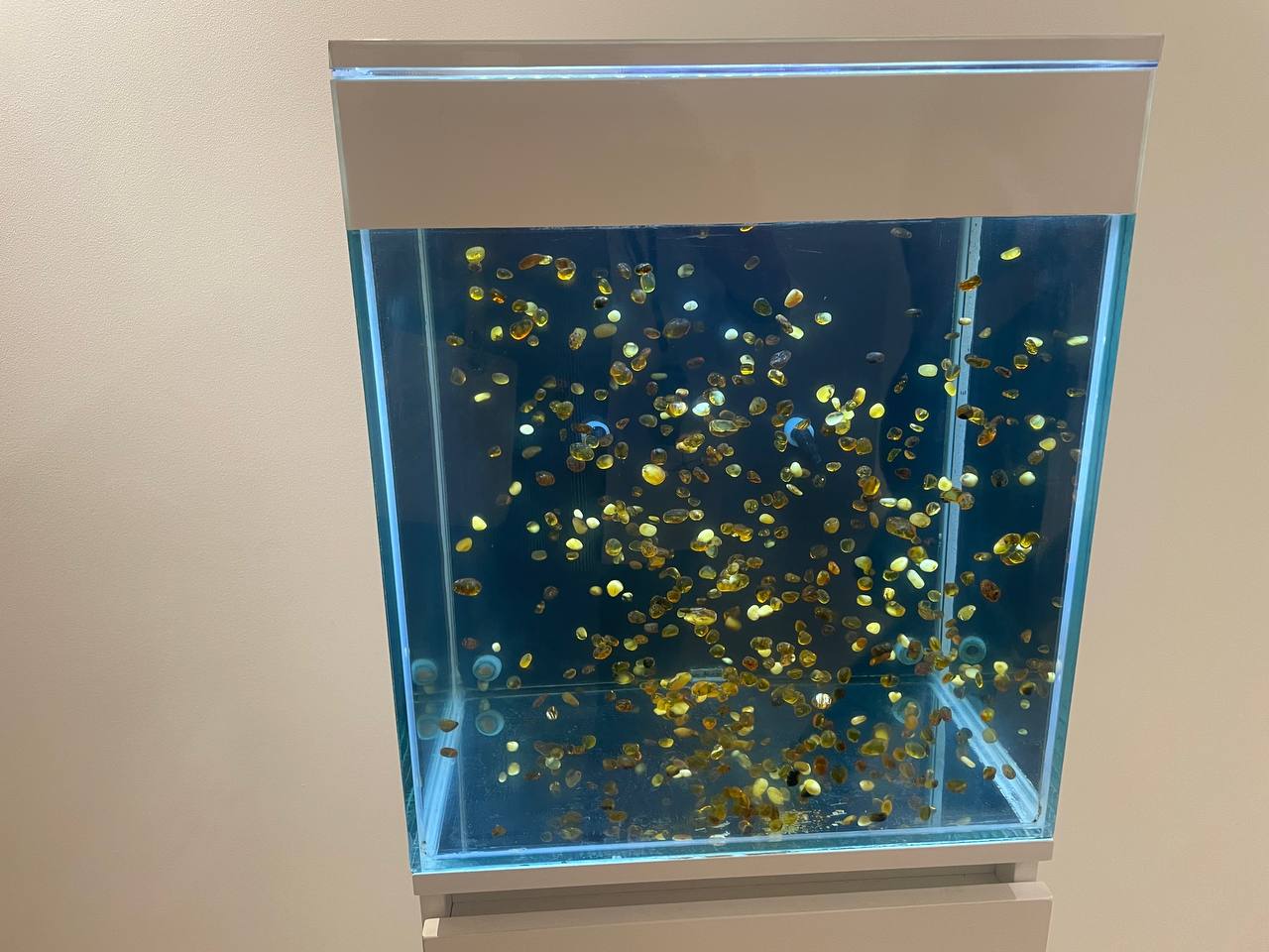 Фото: Марина Маркевич