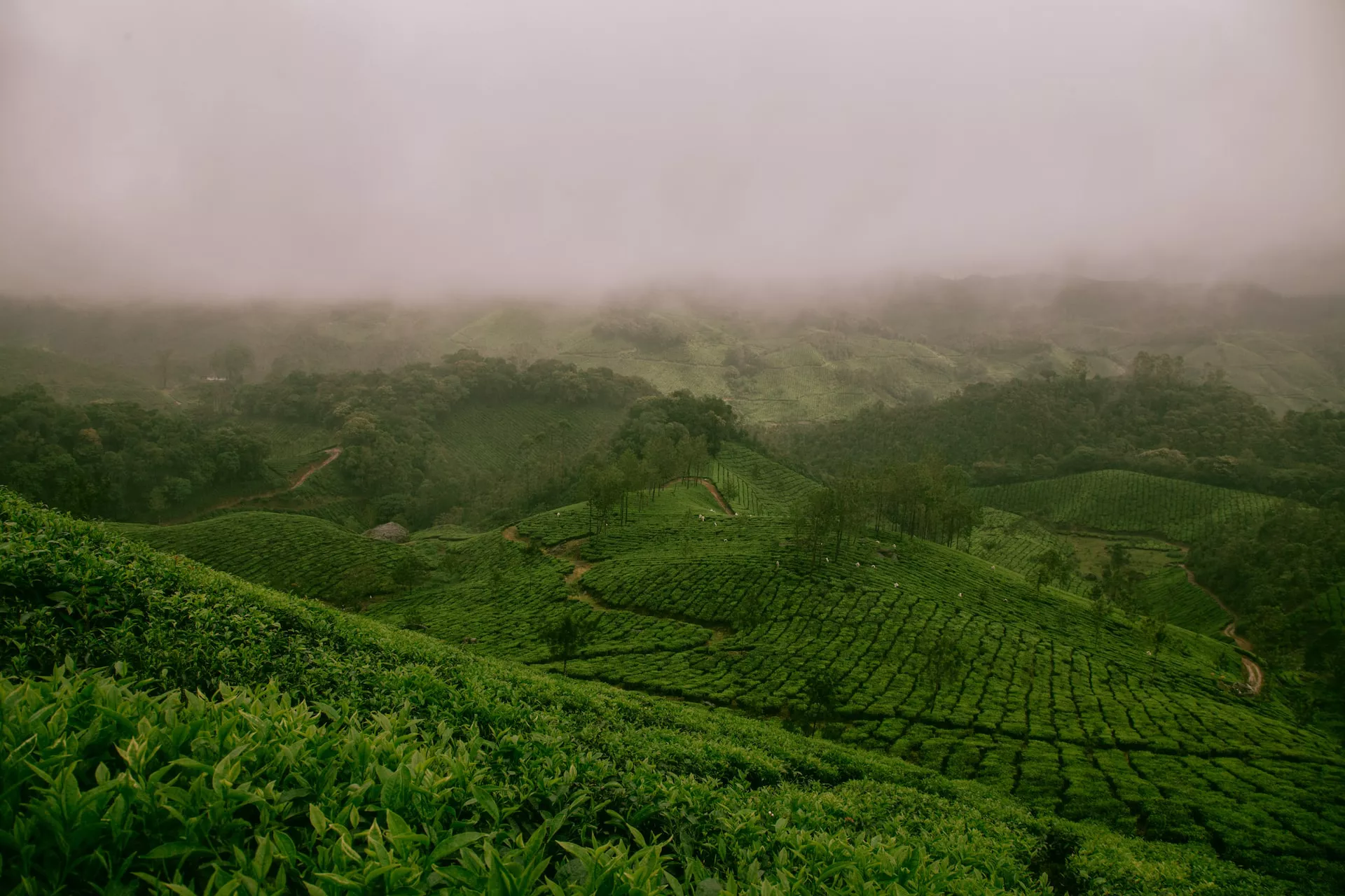 unsplash.com