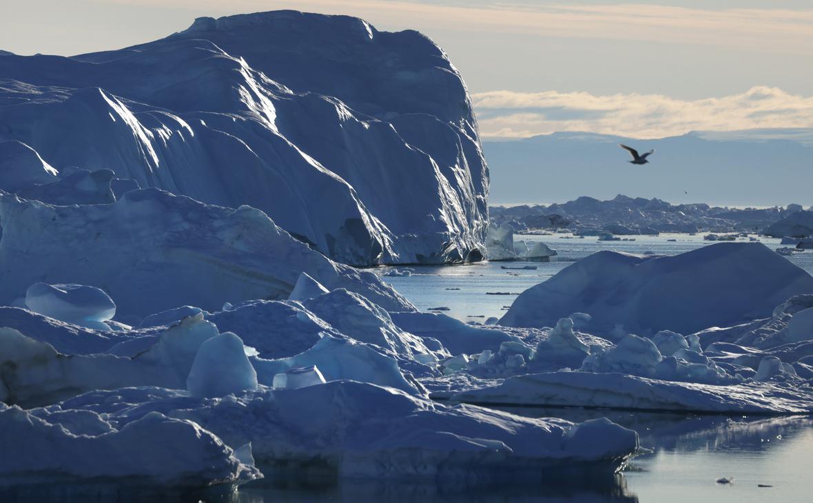 Фото: Sean Gallup / Getty Images