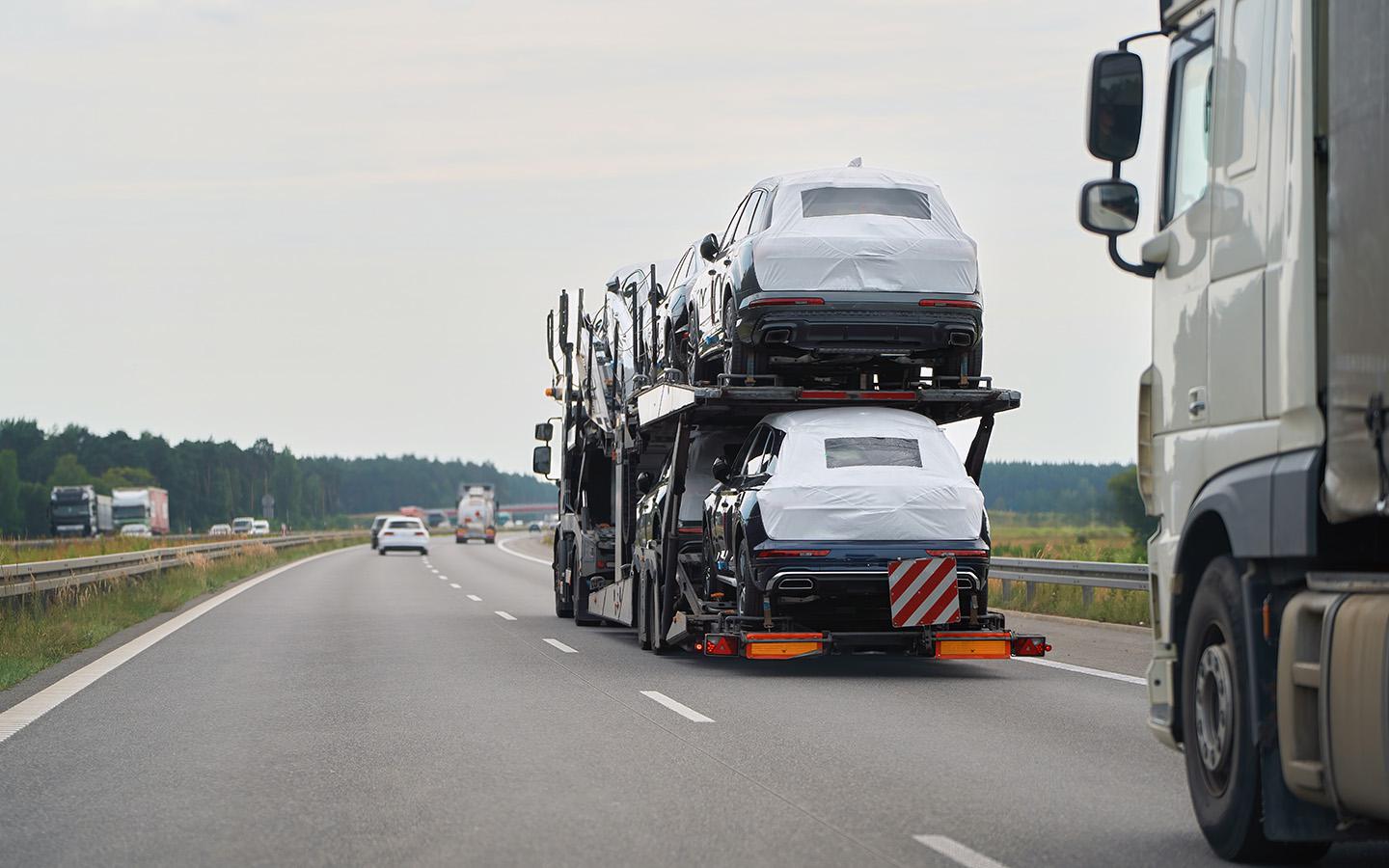 Фото: alexgo.photography / Shutterstock / FOTODOM