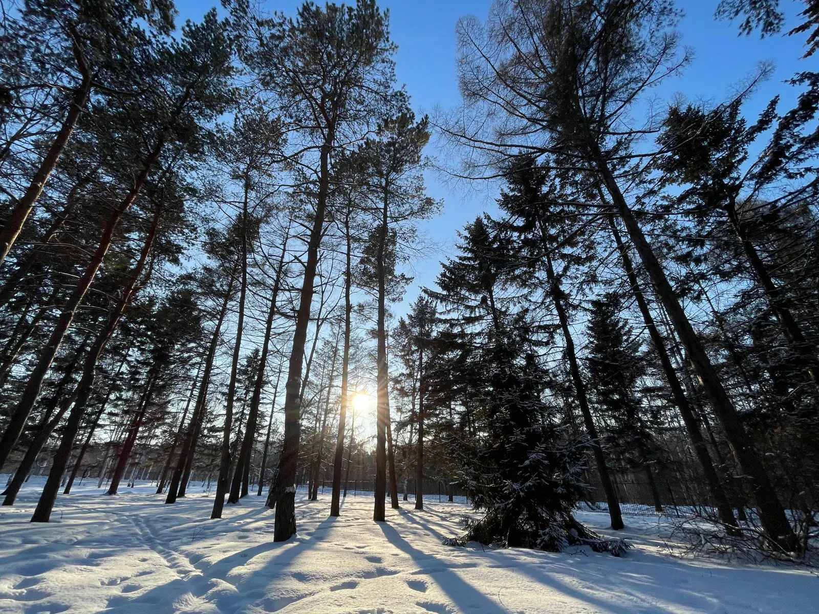 РБК Приморье