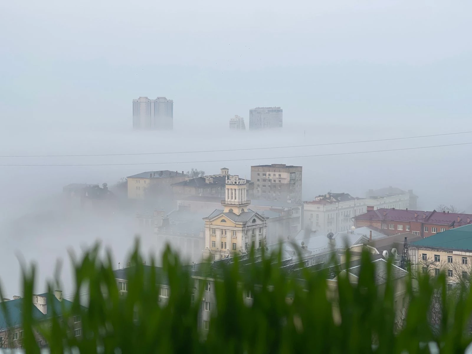 РБК Приморье