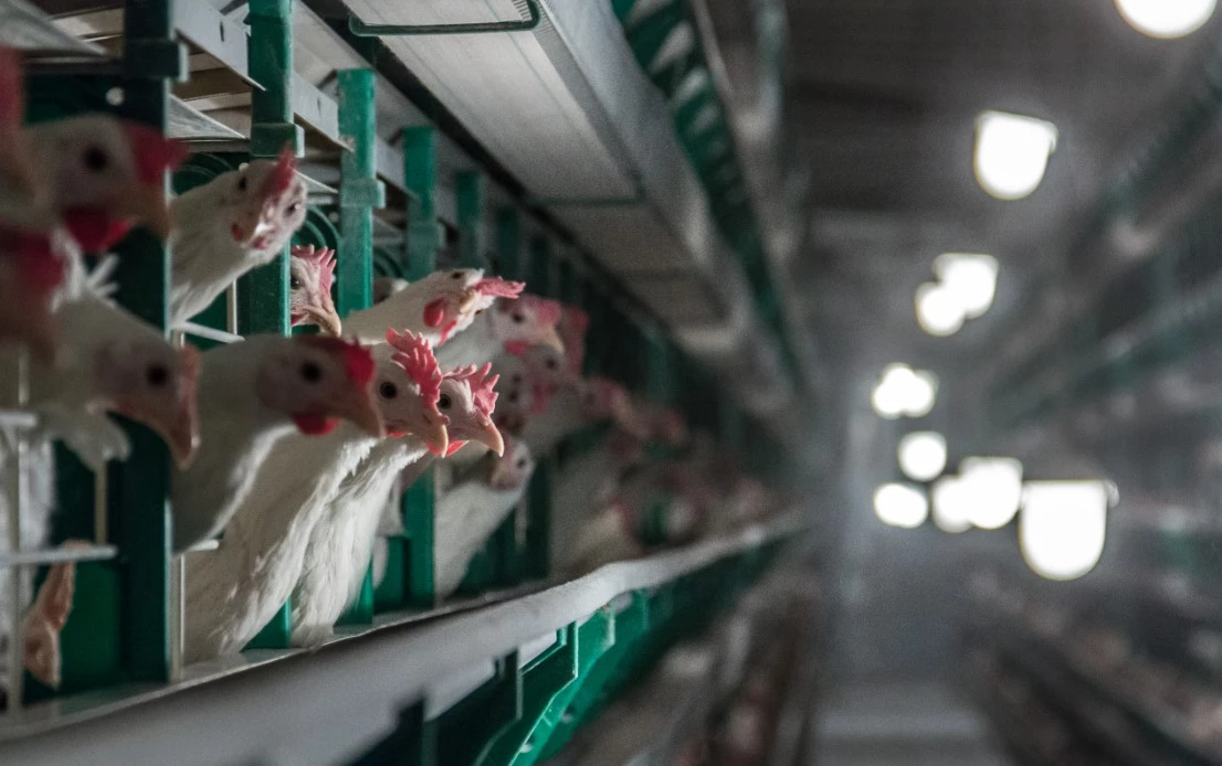 Илья Московец / URA.RU