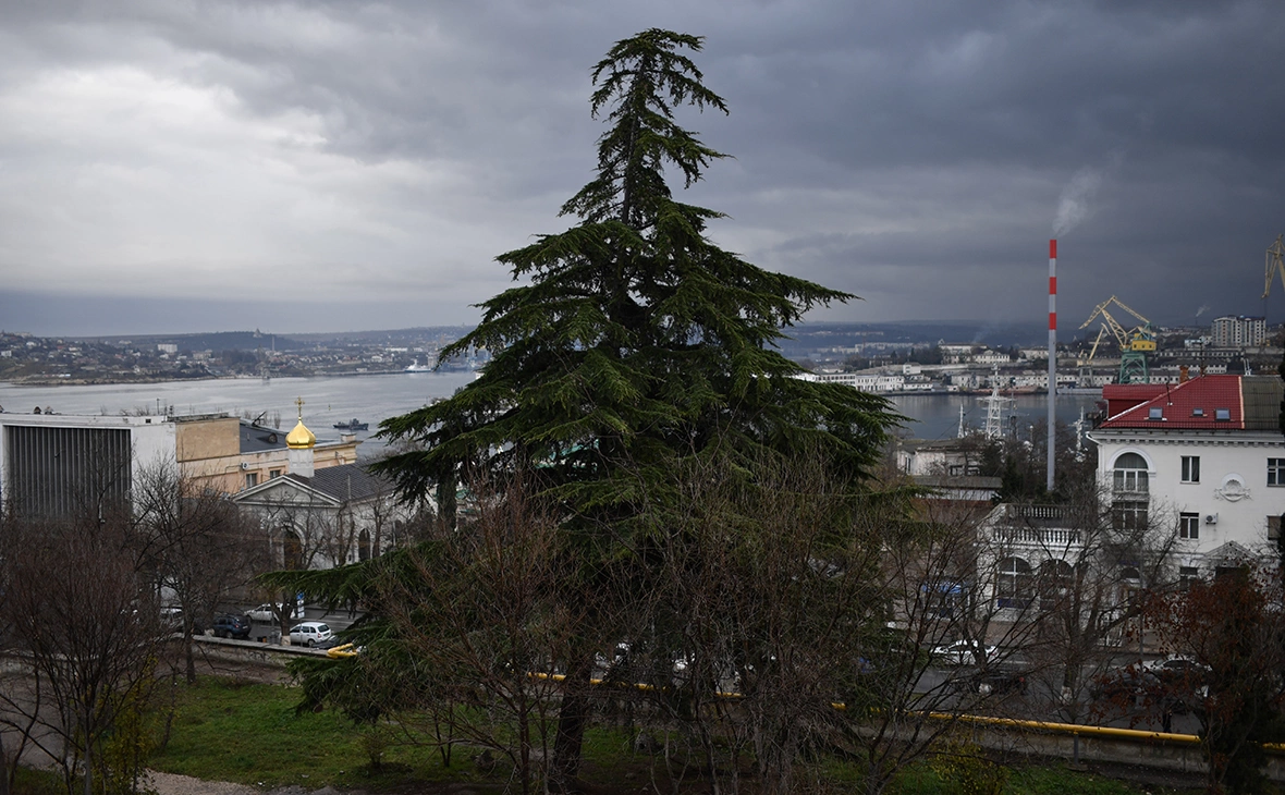 Алексей Мальгавко / РИА Новости