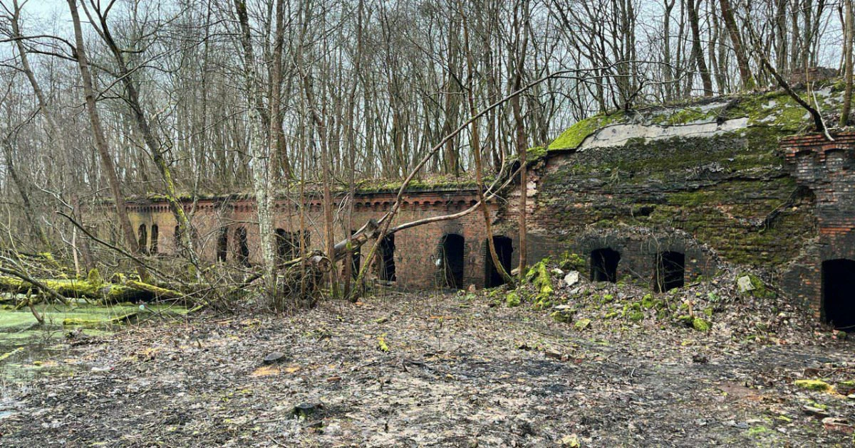 Архив РБК Калининград