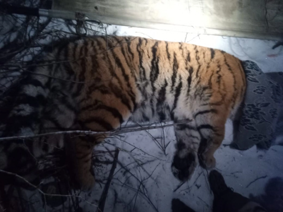 КГБУ "Служба по охране животного мира и особо охраняемых природных территорий Хабаровского края"