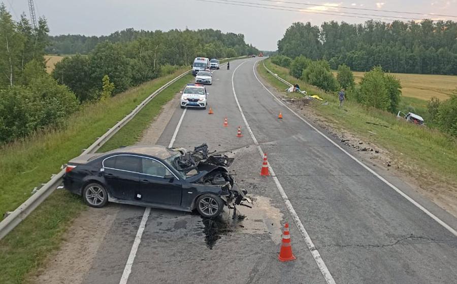 В Подмосковье мужчина и ребенок погибли в ДТП с BMW и микроавтобусом