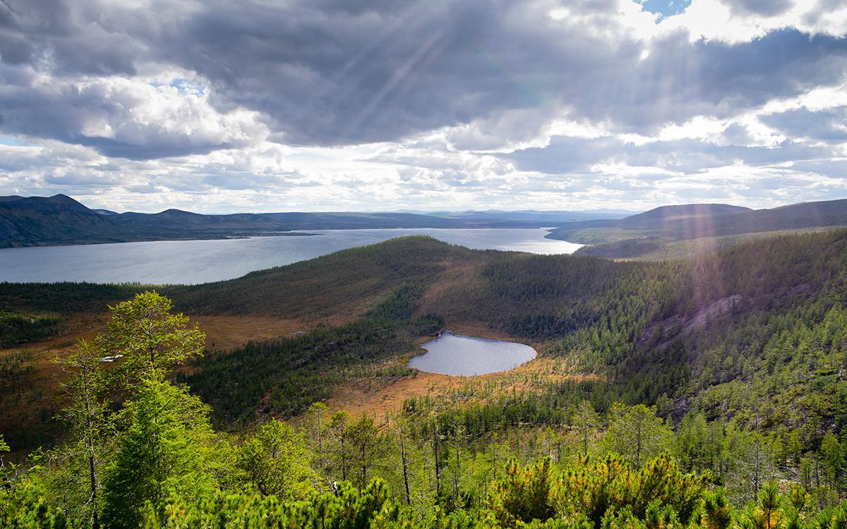 Фото: Bastrik / Shutterstock / FOTODOM