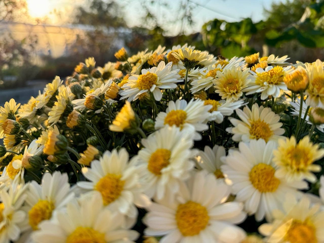 Фото: РБК Приморье