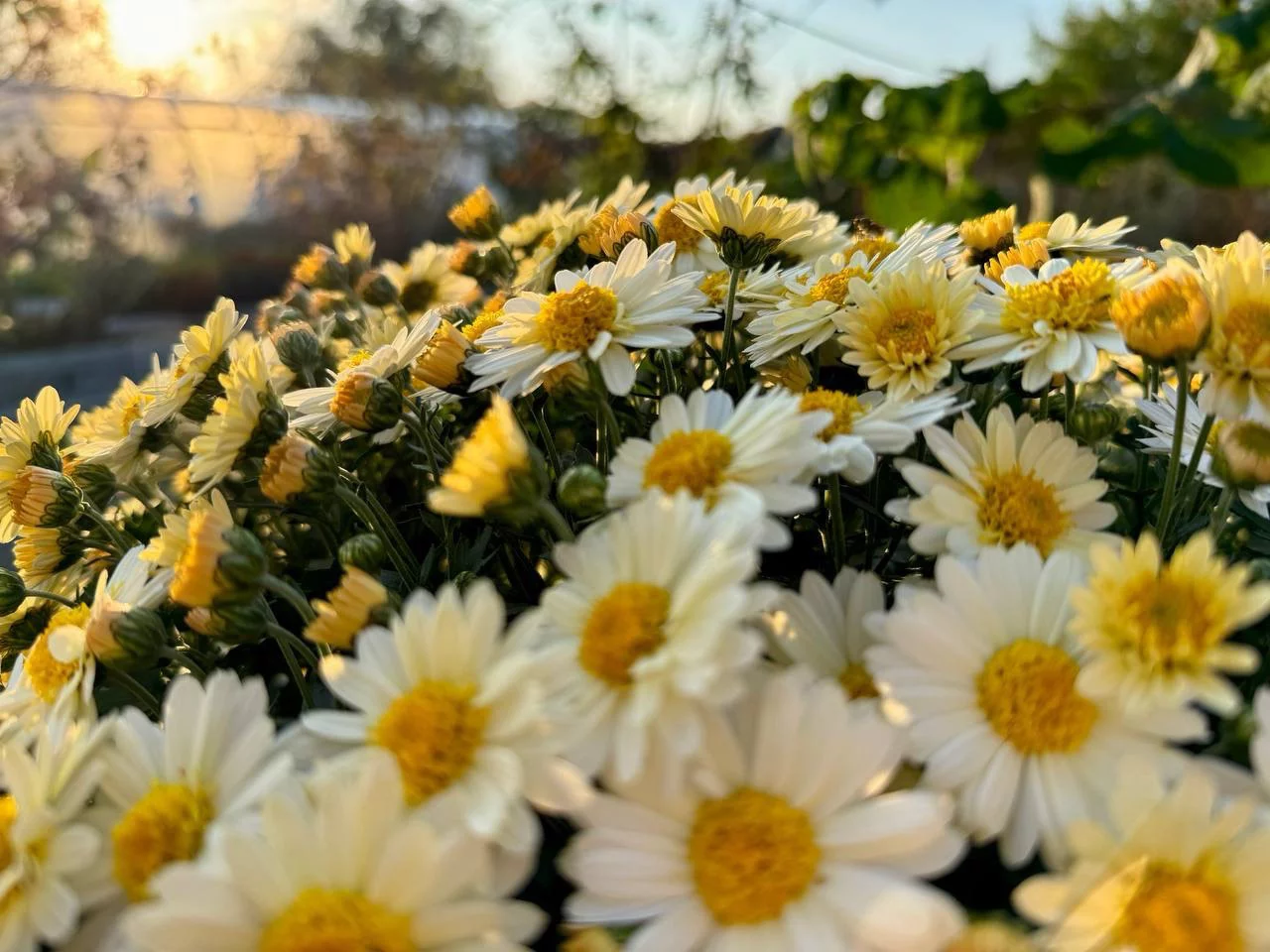 РБК Приморье