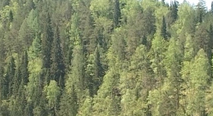 Фото: РБК Пермь