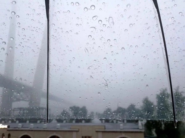 РБК Приморье