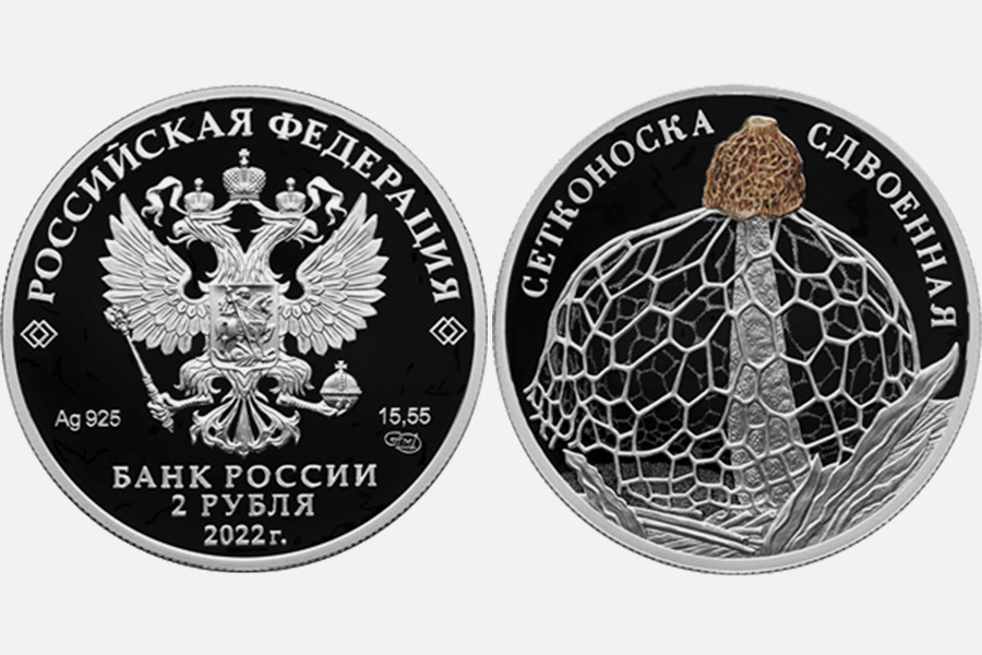 Россия серебро сегодня. Серебряная монета 2 рубля 2022. 2 Рубля 2022 года. Изображение серебряной монеты. Сетконоска монета.