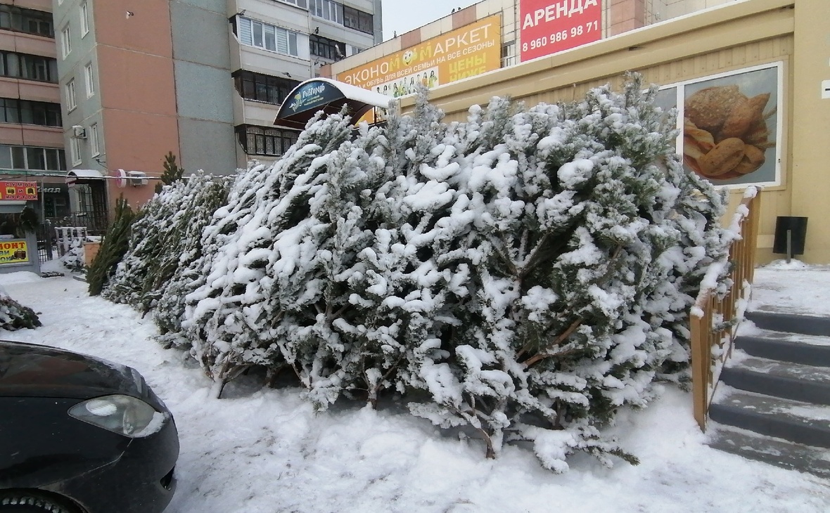 Фото: Евгений Яровой