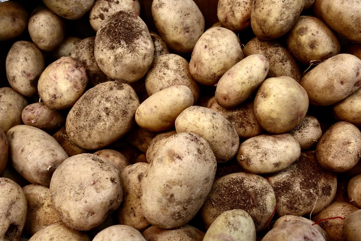 Денис Моргунов / РИА URA.RU