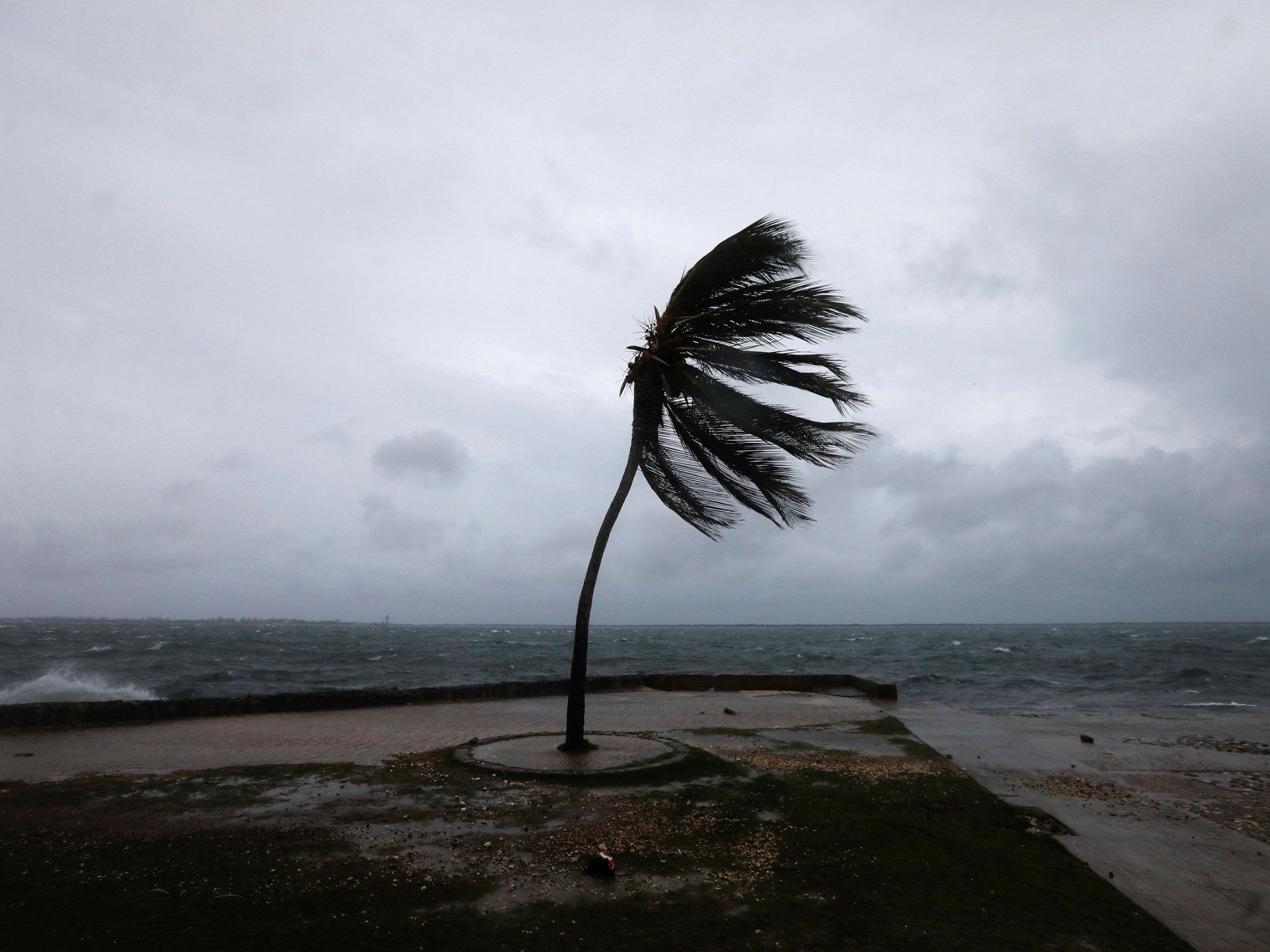 Кингстон, Ямайка, 27 октября 2025 года.

Ураган &laquo;Мелисса&raquo; сформировался над Атлантическим океаном. К 27 октября он достиг максимальной 5-й категории по шкале Саффира&nbsp;&mdash; Симпсона. Скорость ветра урагана составляла&nbsp;185 миль в час (больше 82 м/с), что сделало его вторым по силе штормом в истории Атлантики, уступая только урагану Аллен (190 миль в час или почти 85 м/с), произошедшему в 1980 году.&nbsp;

