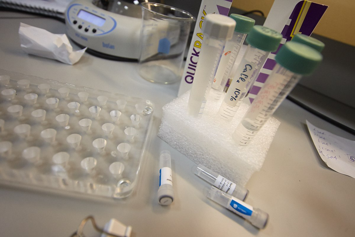 Александр Подгорчук