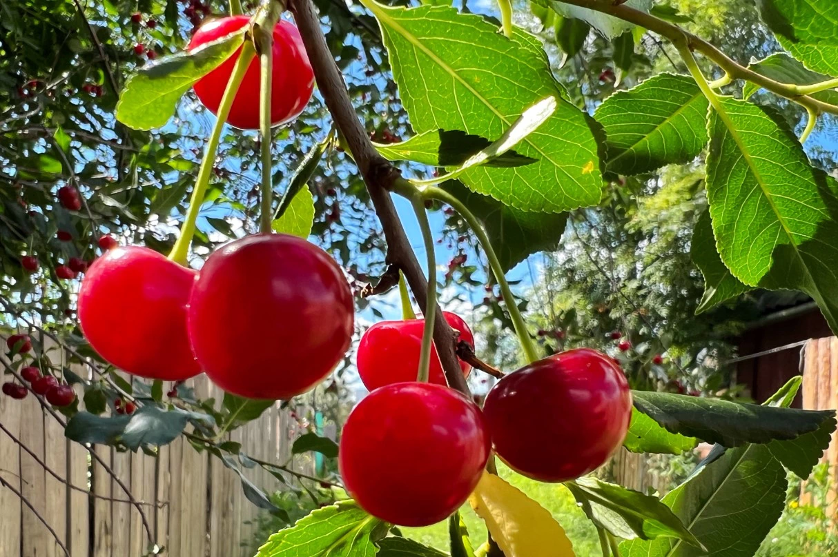 Екатерина Сычкова / РИА URA.RU