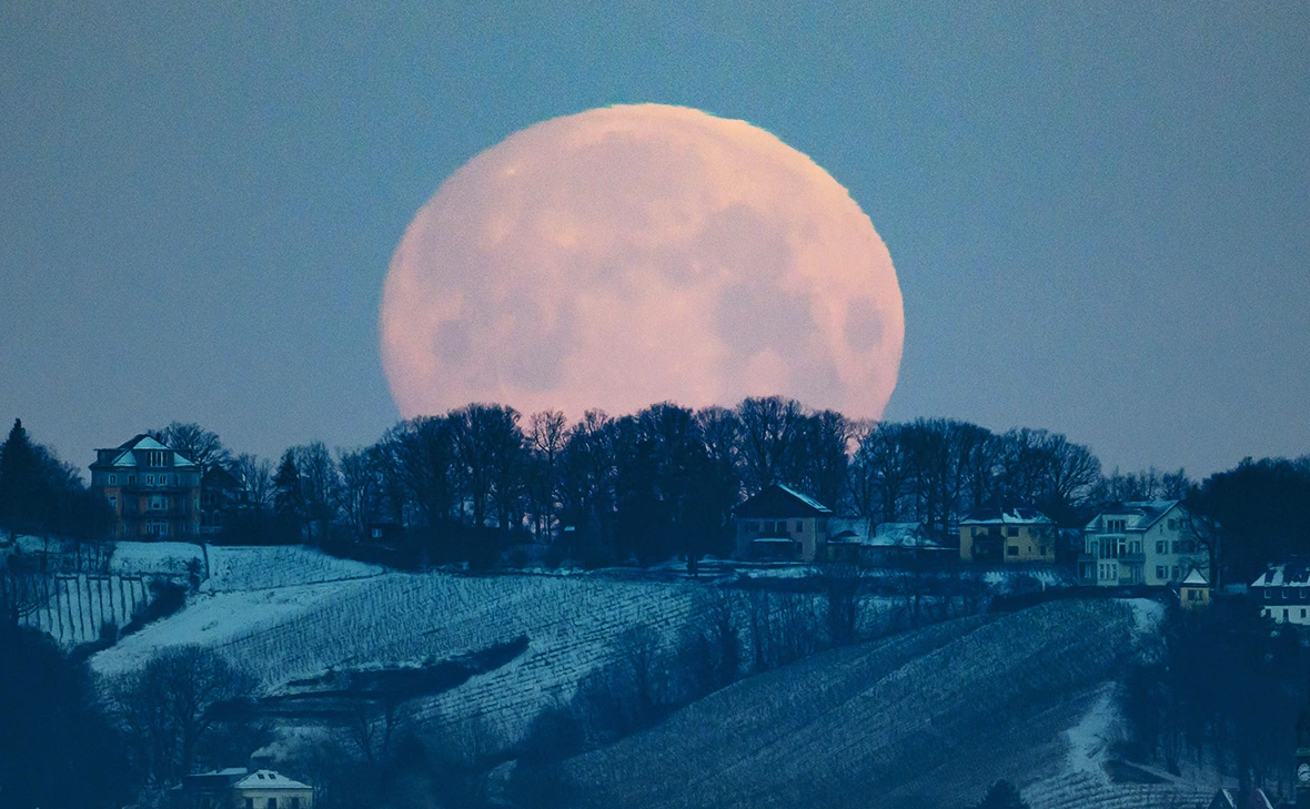 Robert Michael / dpa / Global Look Press