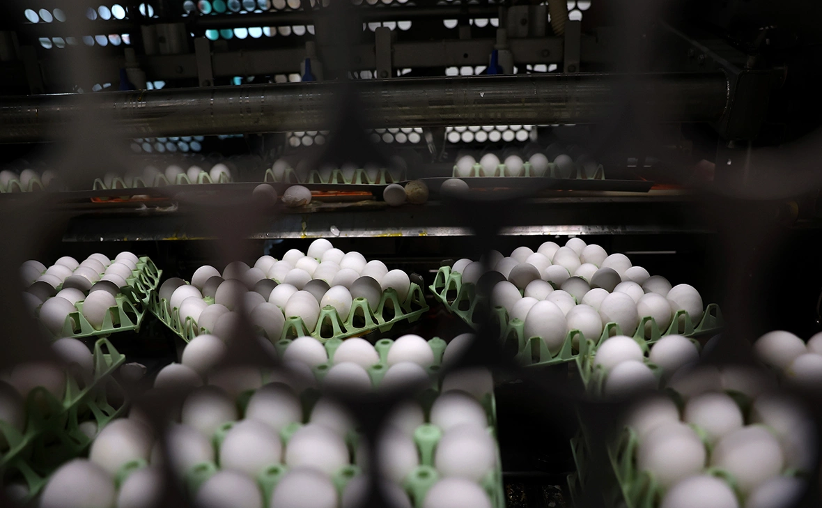 Justin Sullivan / Getty Images