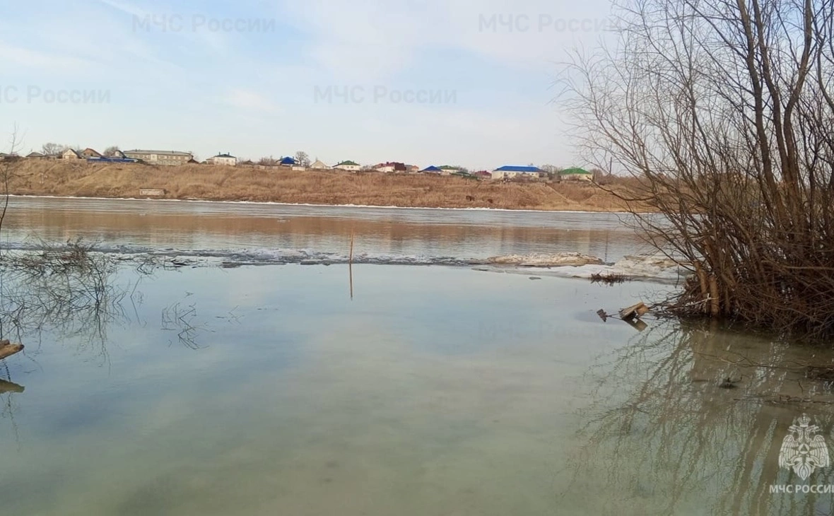 МЧС России по Омской области