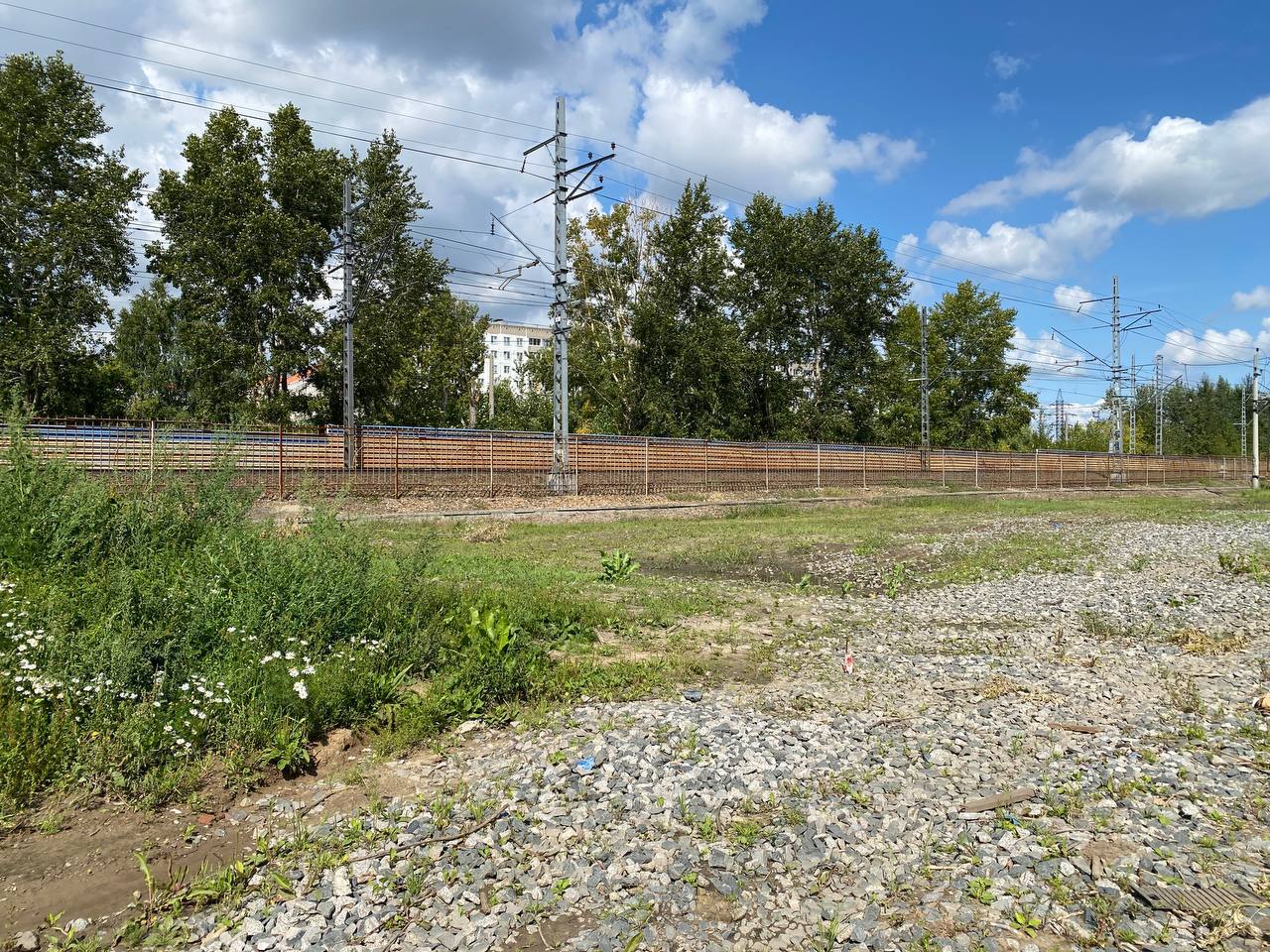 Фото: Telegram-канал мэра Новосибирска Максима Кудрявцева