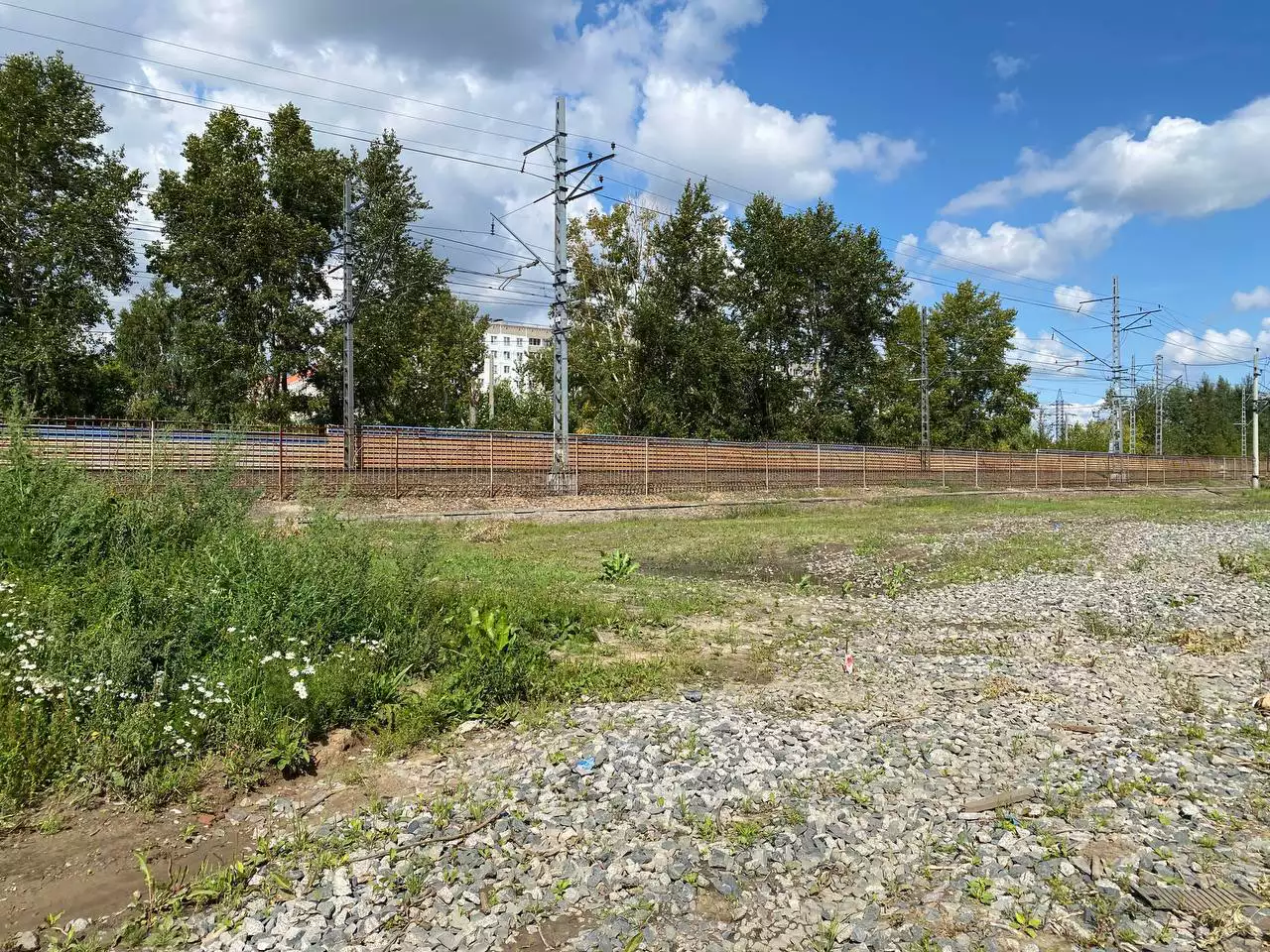 Telegram-канал мэра Новосибирска Максима Кудрявцева