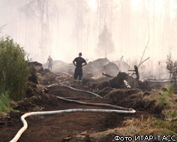 Площадь пожаров за сутки уменьшилась на 8 тыс. гектаров
