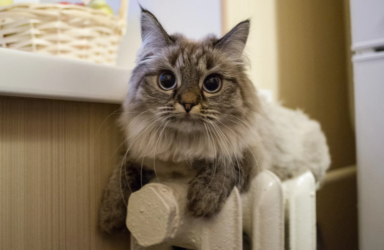 Владимир Жабриков / РИА URA.RU