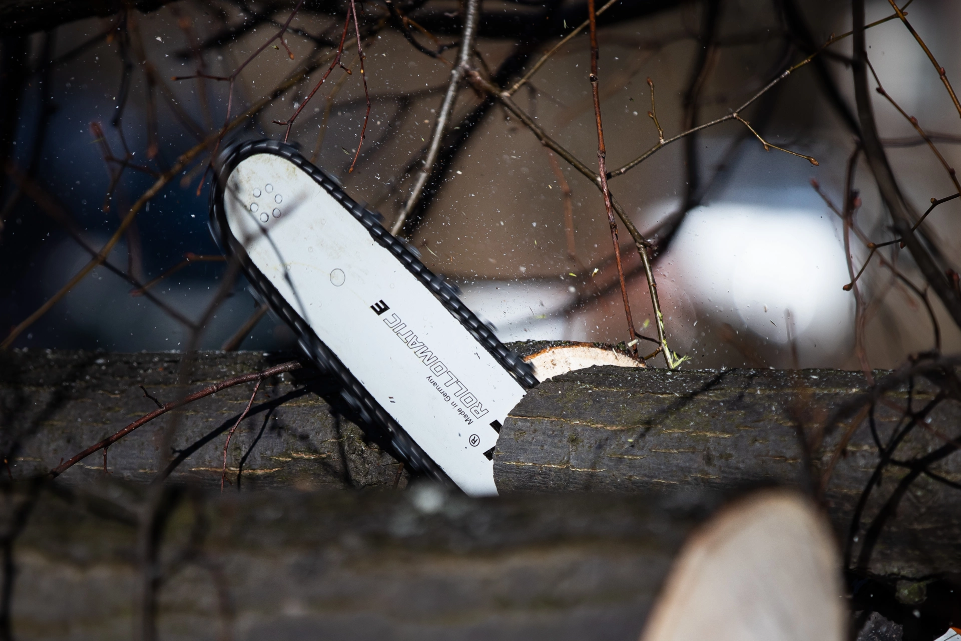 Александр Подгорчук