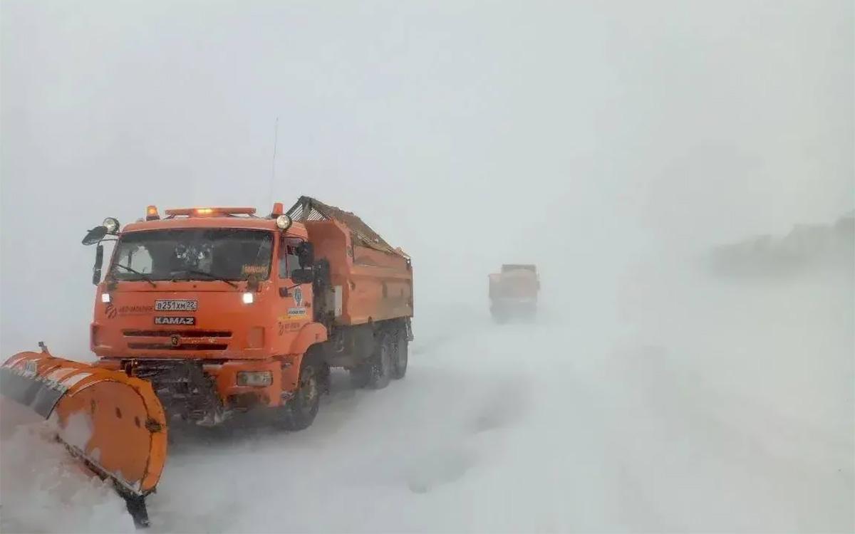 Фото: mintrans22 / Telegram