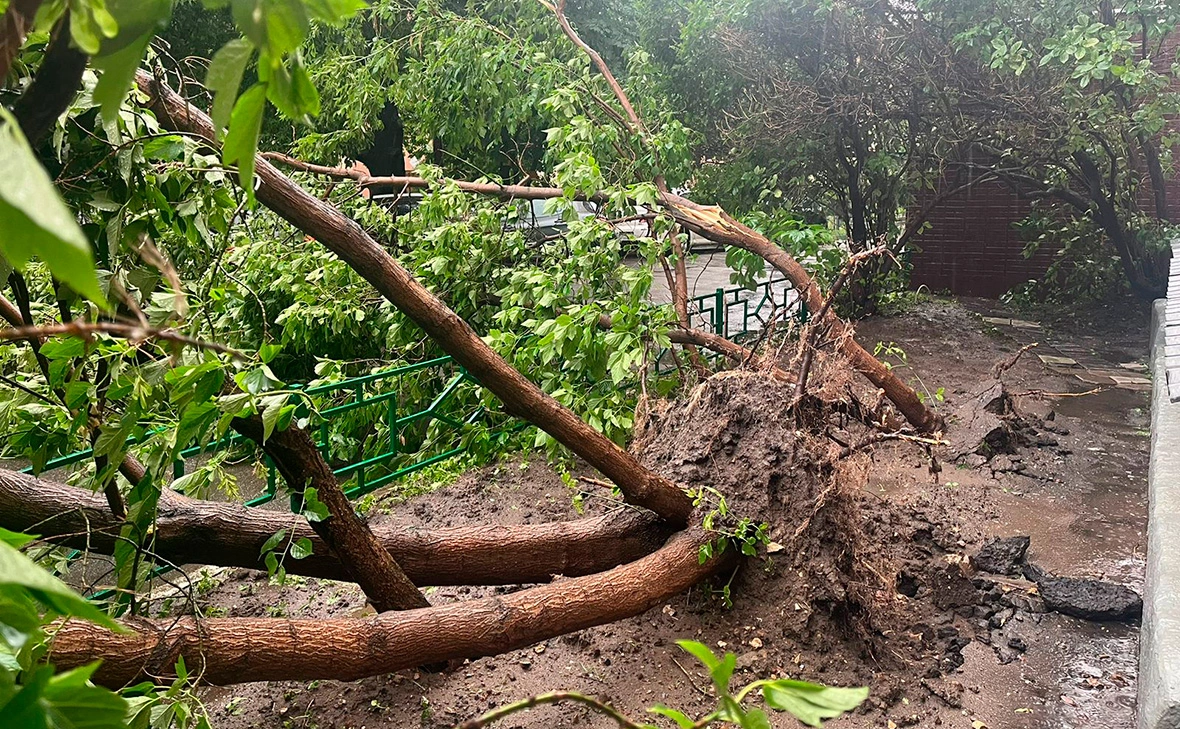 Мария Лисицына / РБК