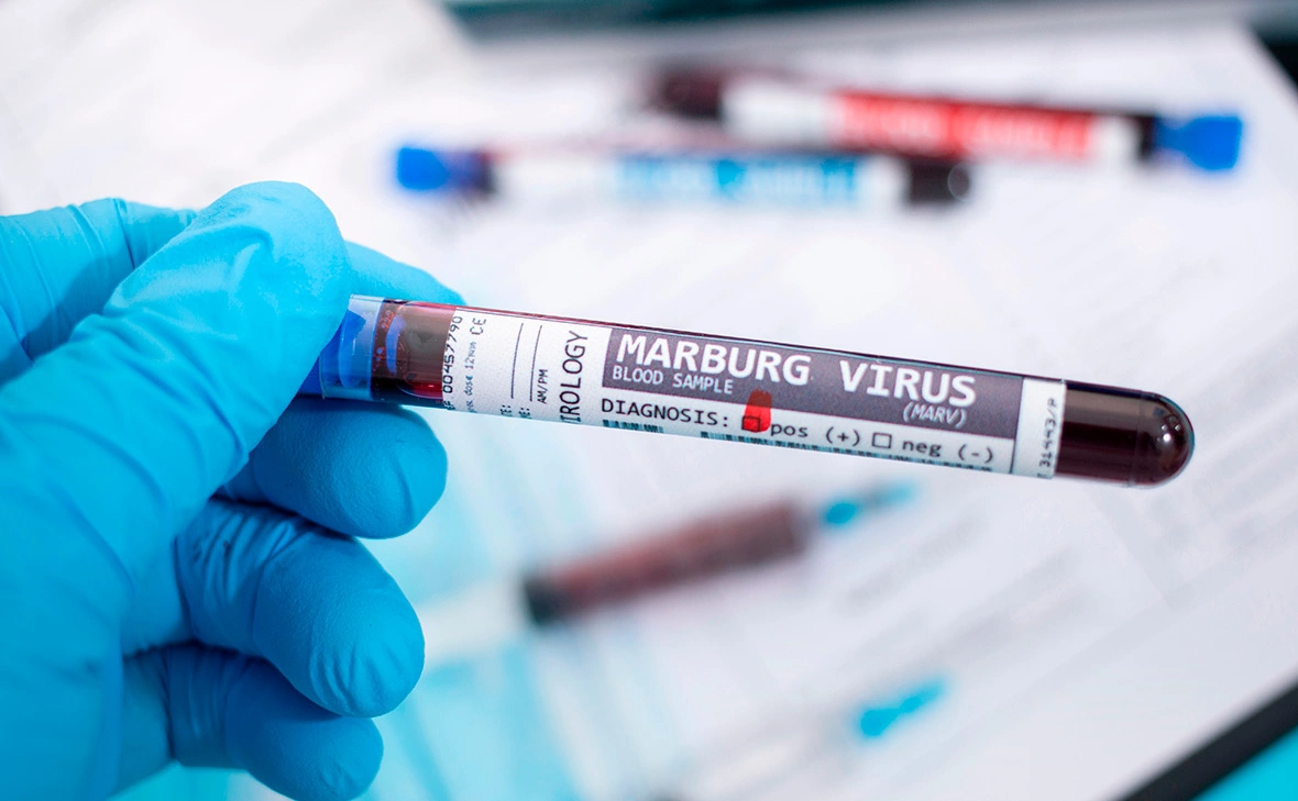 Mauro Rodrigues / Fotodom / Shutterstock