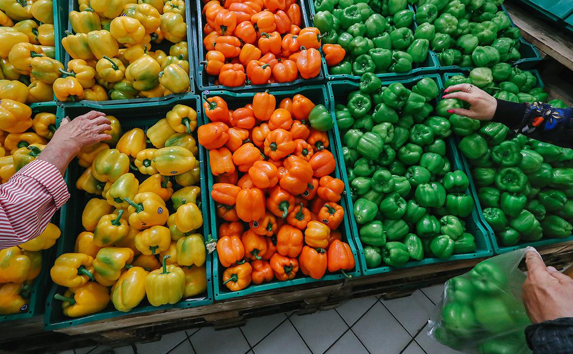 Фото: Андрей Любимов / РБК