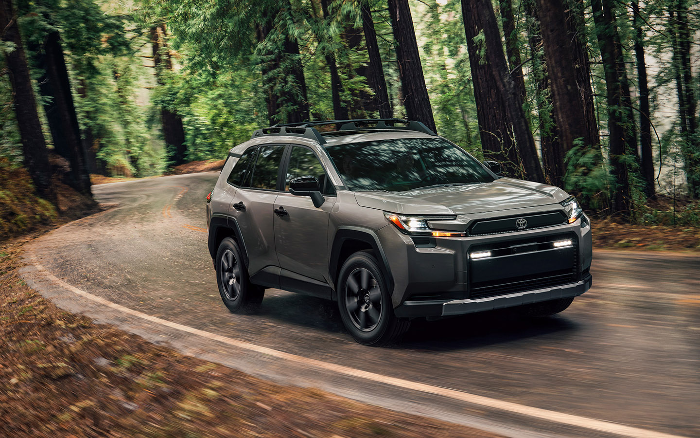 Toyota RAV4 Woodland