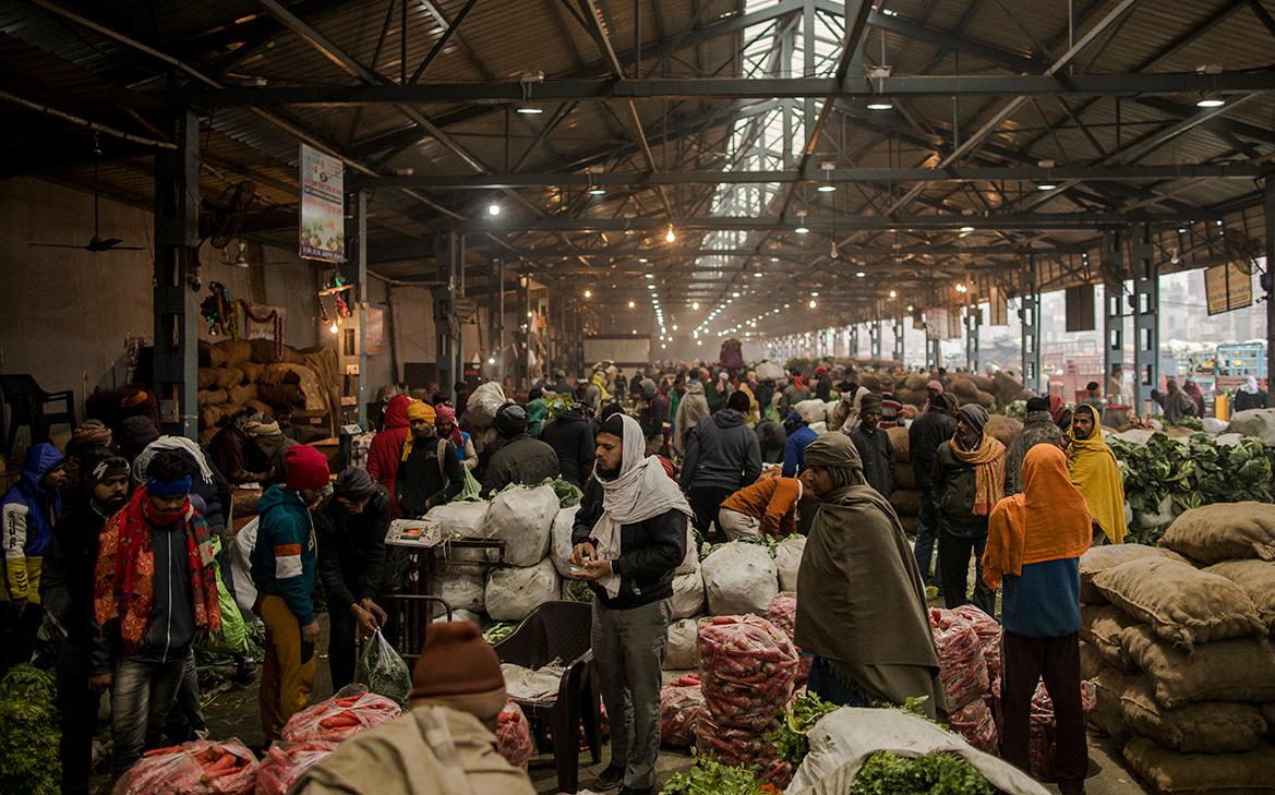 Россия вошла в топ-5 импортеров агропромышленной продукции в Индию