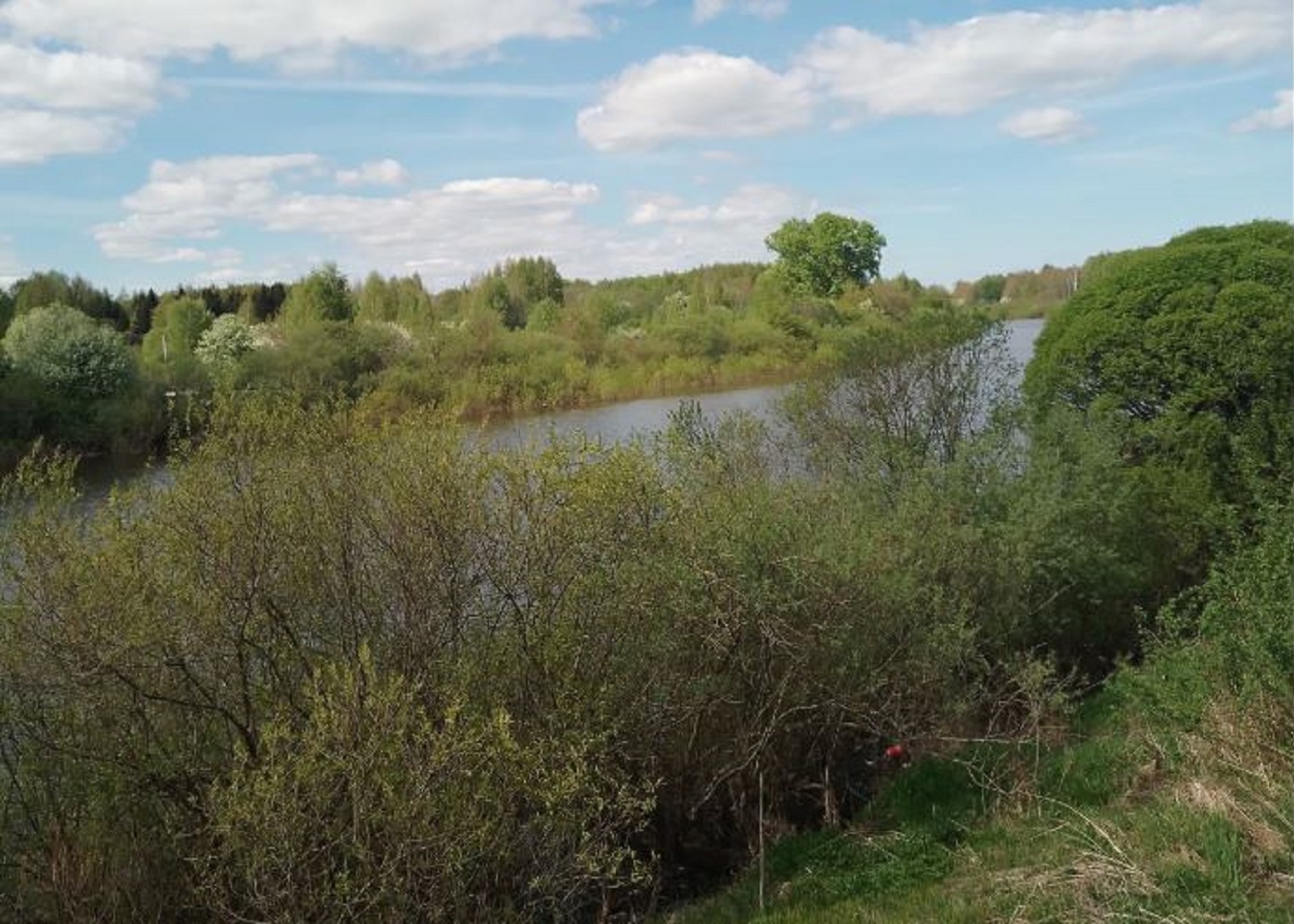 Вологодские синоптики обещают аномально жаркую погоду