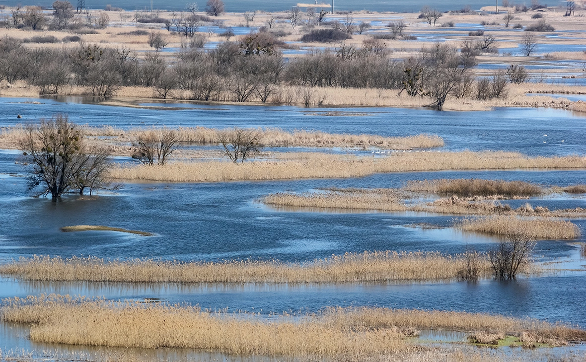 rustamank / Shutterstock