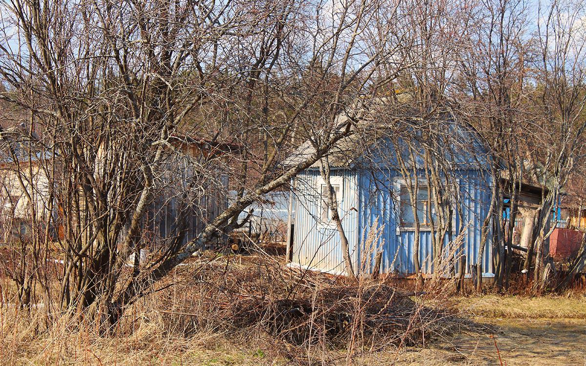 Фото: Far700 / Shutterstock / FOTODOM