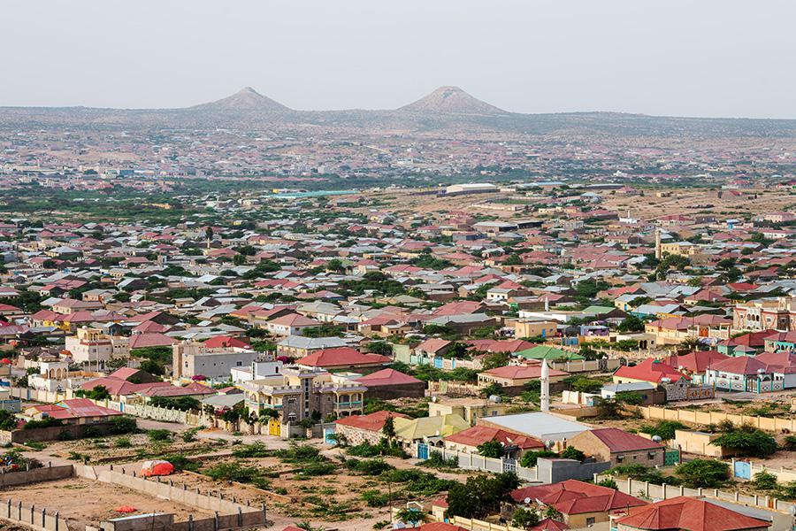 mbrand85 / Shutterstock