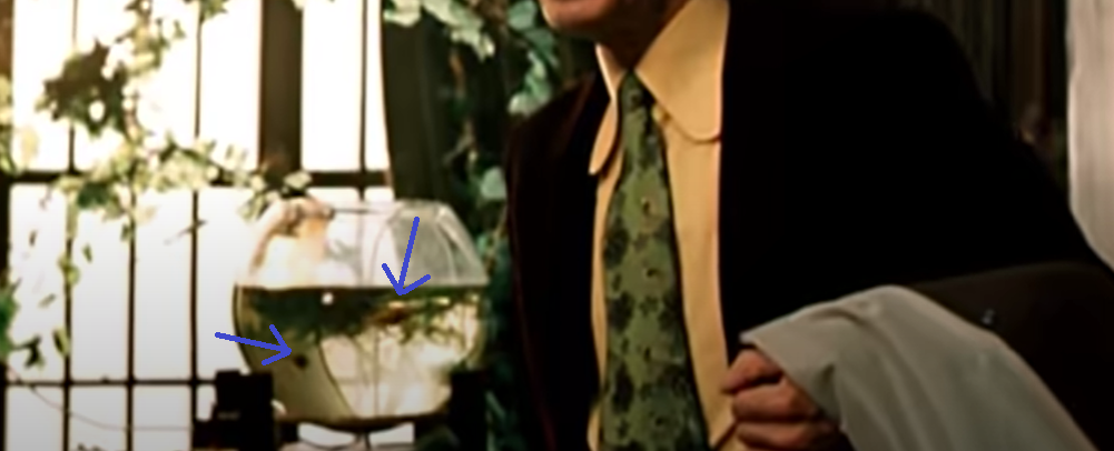 Видна пара рыбок в аквариуме, кадр из фильма «Ищите женщину»