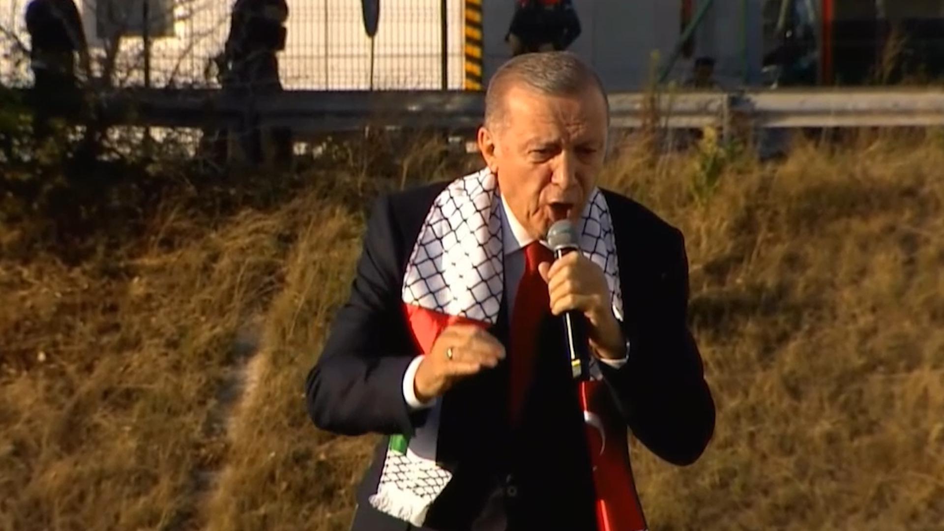 «Великий палестинский митинг» в Стамбуле. Видео
