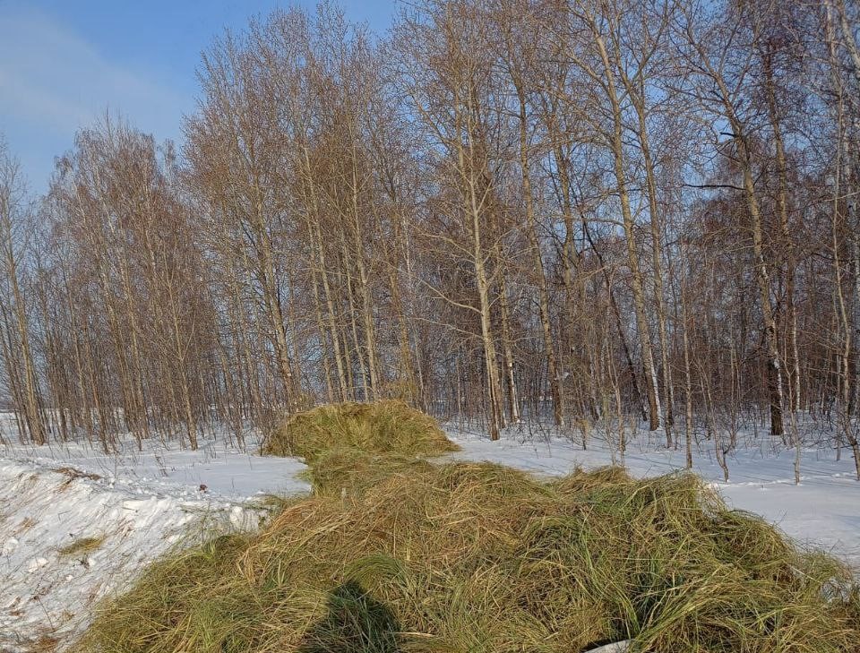 Фото: Минприроды Новосибирской области