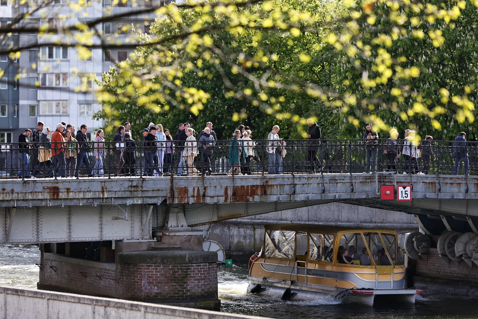 Александр Подгорчук