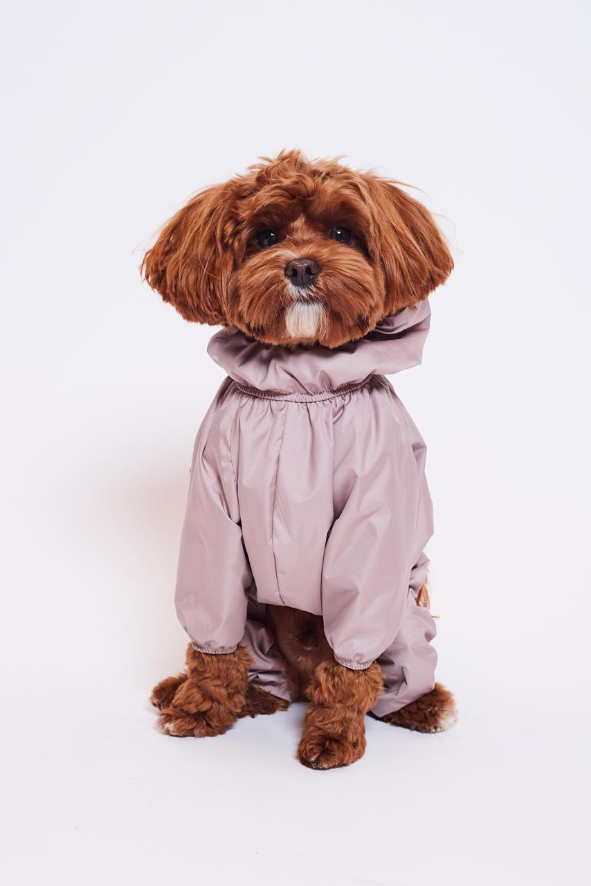 Фото: Hug me dog