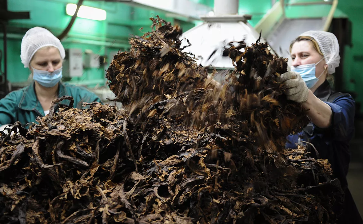 Александр Рюмин / ТАСС