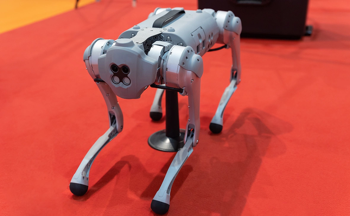 KONSTANTIN_SHISHKIN / Shutterstock