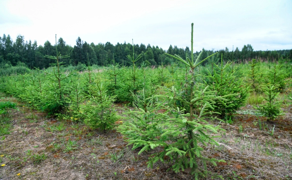 gov.karelia.ru