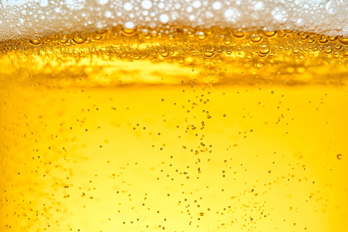 В Россию в 2025 году начали массово ввозить пиво из Индии. Кто импортер