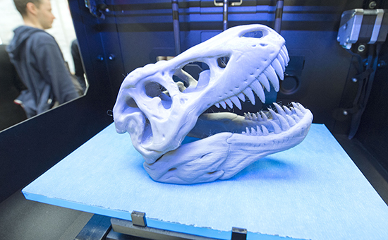 Череп динозавра, напечатанный 3D-принтером